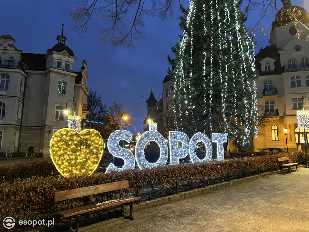 Sopot szykuje się do świąt! Rozbłysła choinka i zimowe dekoracje w kurorcie [FOTO]