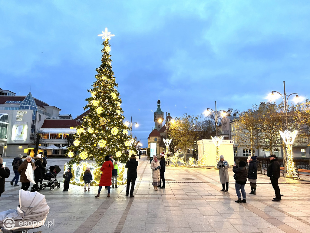 Sopot szykuje się do świąt! Rozbłysła choinka i zimowe dekoracje w kurorcie [FOTO]