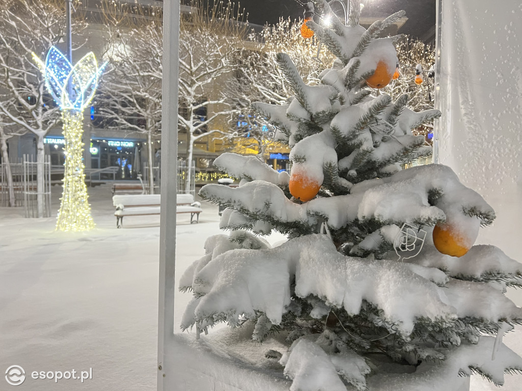 Magiczny, wigilijny wieczór w Sopocie! Białe święta w kurorcie [FOTO]