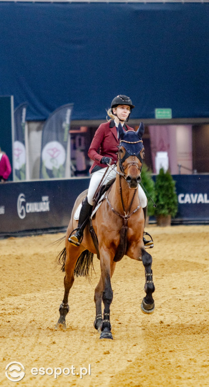 Cavaliada 2021/2022: wielkie jeździeckie święto w Sopocie