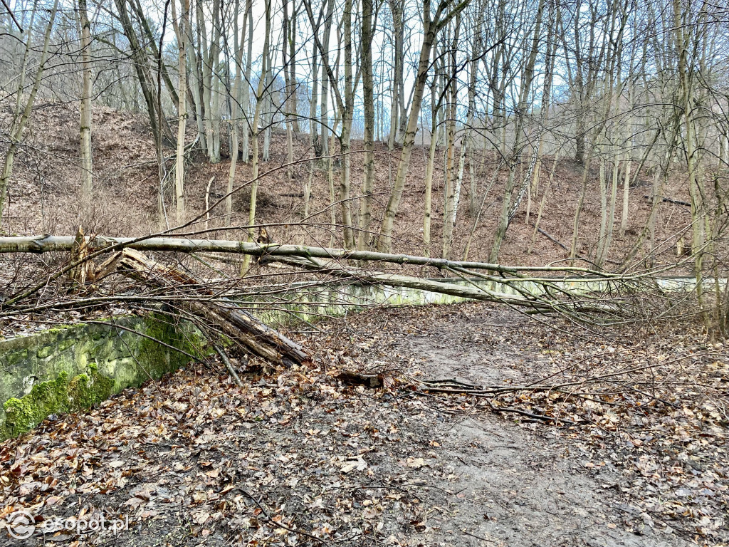 Sopockie Morskie Oko czeka na wiosnę