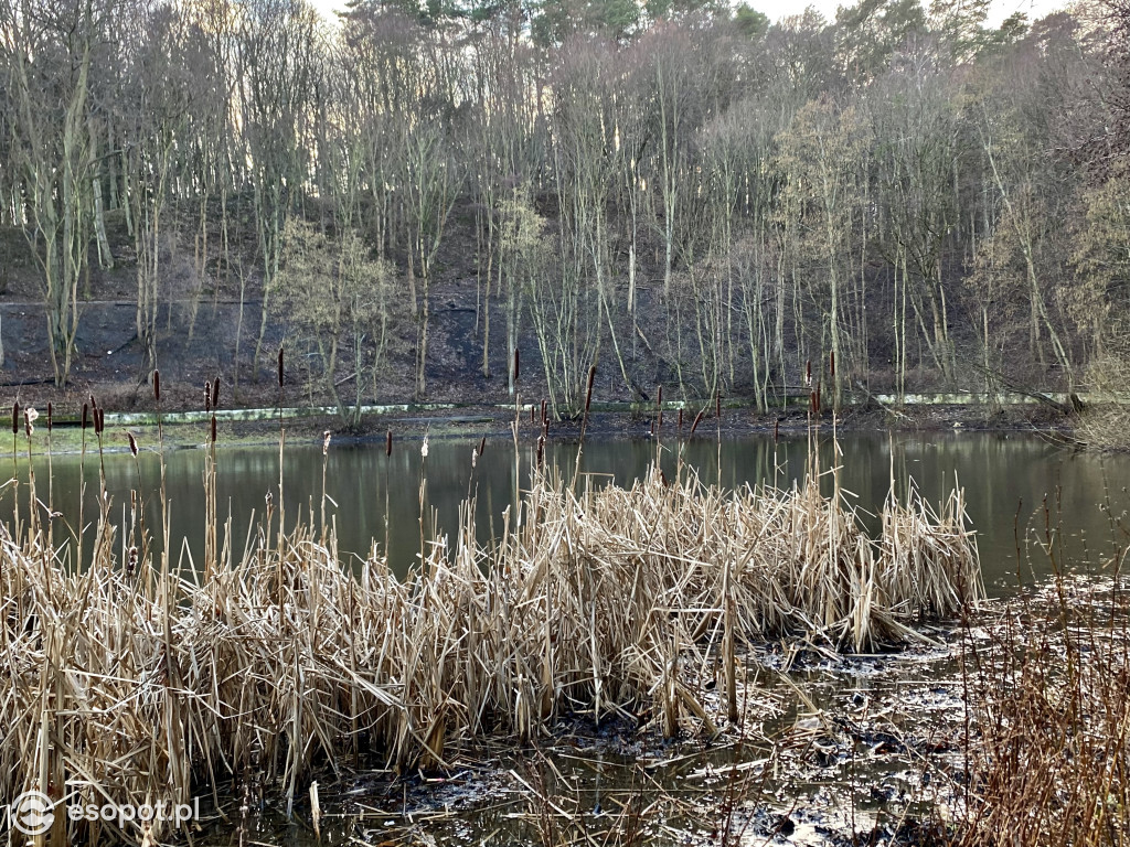 Sopockie Morskie Oko czeka na wiosnę
