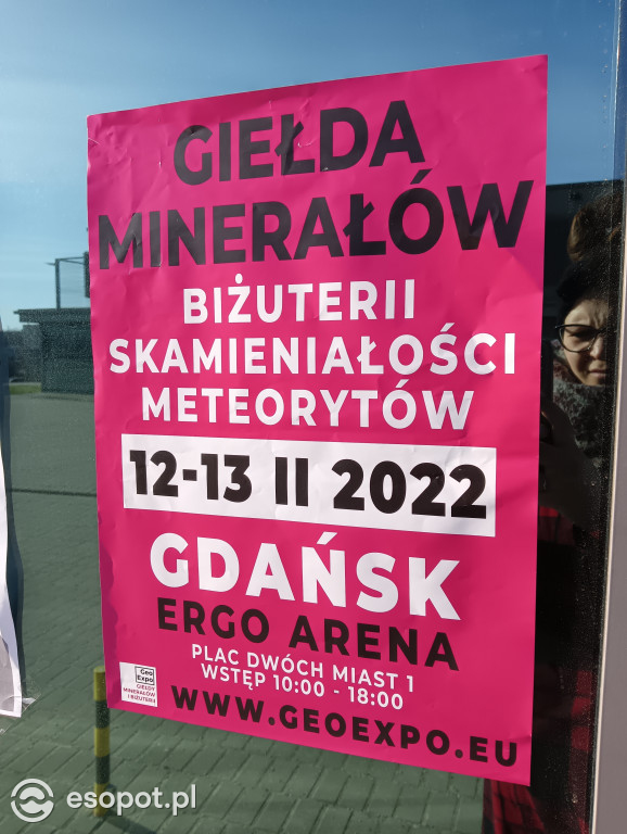 Giełda minerałów w Ergo Arenie! Unikatowe kamienie, skamieniałości i wyjątkowa biżuteria [FOTO]