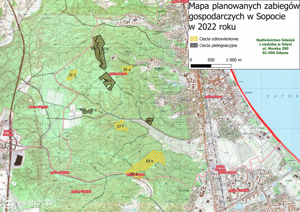 Sopot: tak wygląda las po wycince drzew