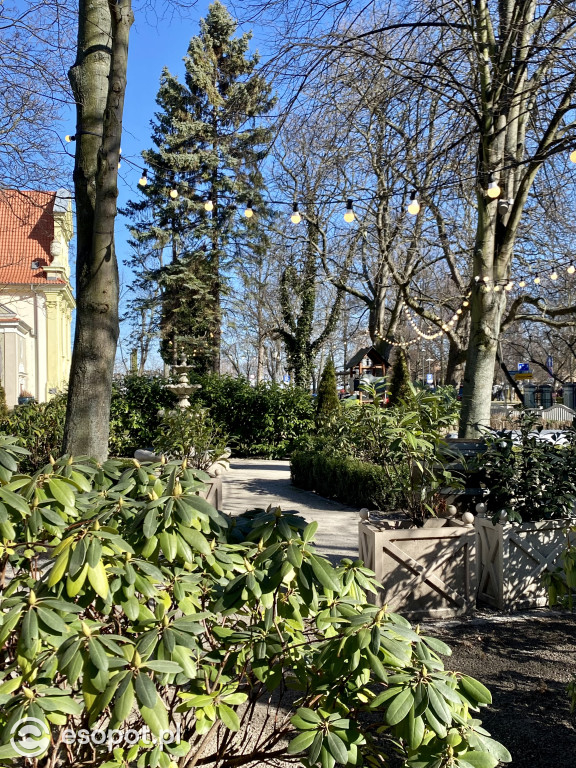 Sopot czeka na wiosnę! Tłumy jak w sezonie