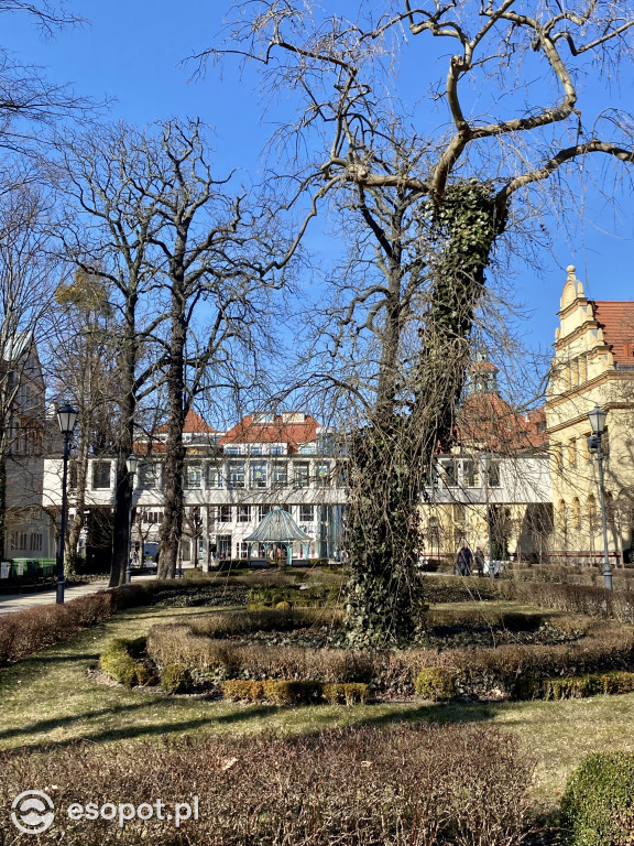 Sopot czeka na wiosnę! Tłumy jak w sezonie