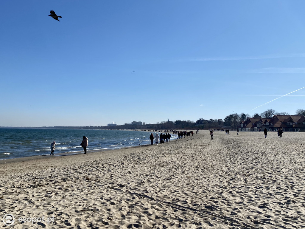 Sopot czeka na wiosnę! Tłumy jak w sezonie
