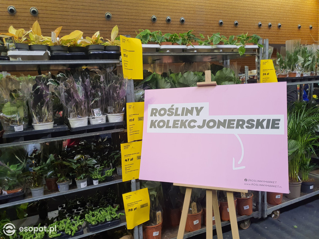 Festiwal Roślin w Ergo Arenie