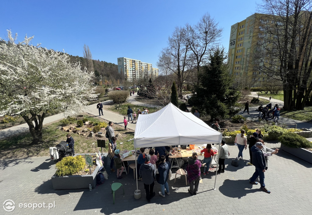 Barwna parada i otwarcie promenady na sopockim Brodwinie [FOTO]