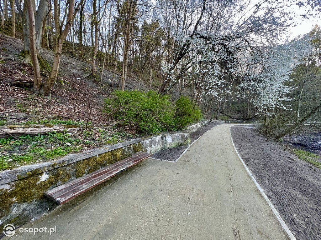 Morskie Oko w Sopocie w nowej odsłonie! Ukończono alejkę za 150 tys. zł