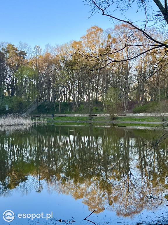 Morskie Oko w Sopocie w nowej odsłonie! Ukończono alejkę za 150 tys. zł