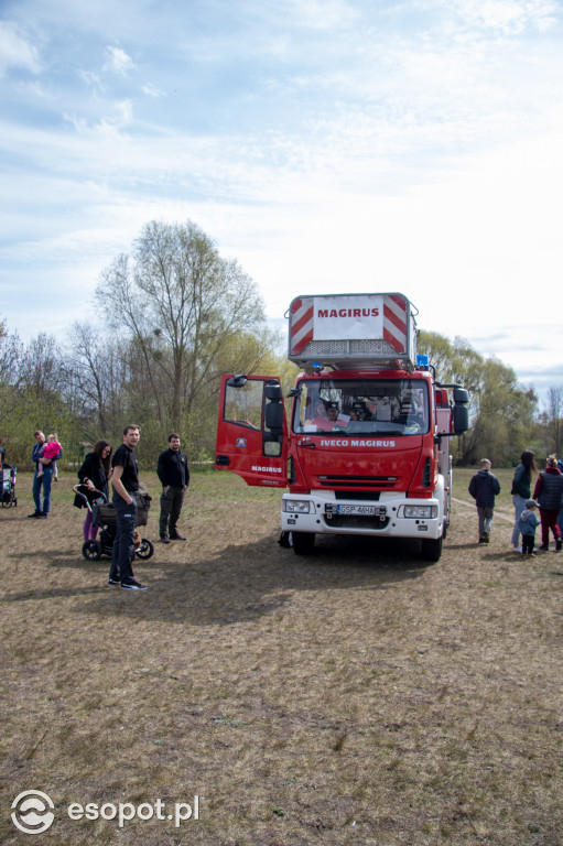Tłumy sopocian, food trucki i zabawa: Festyn Rodzinny na Błoniach