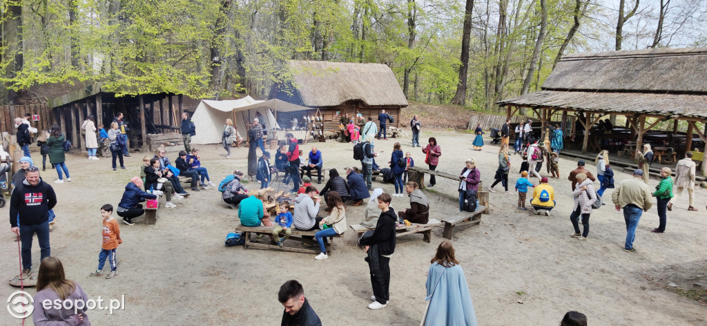Majówka na Grodzisku, czyli dawna moda, pokazy walk i rzemiosł [FOTO]