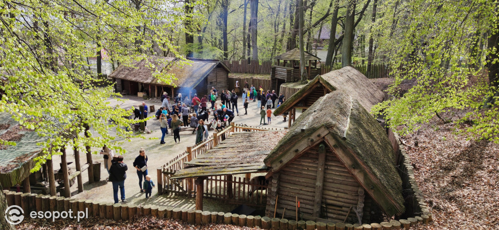 Majówka na Grodzisku, czyli dawna moda, pokazy walk i rzemiosł [FOTO]