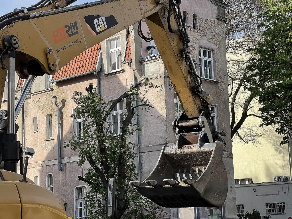 Ruszyła przebudowa ul. 3 Maja w Sopocie! Co kryje się pod asfaltem? [FOTO]