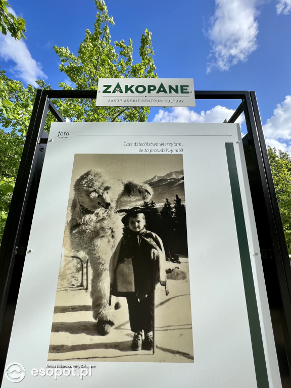 Zakopane otworzyło sezon w Sopocie! - sztorm przywitał się z halnym