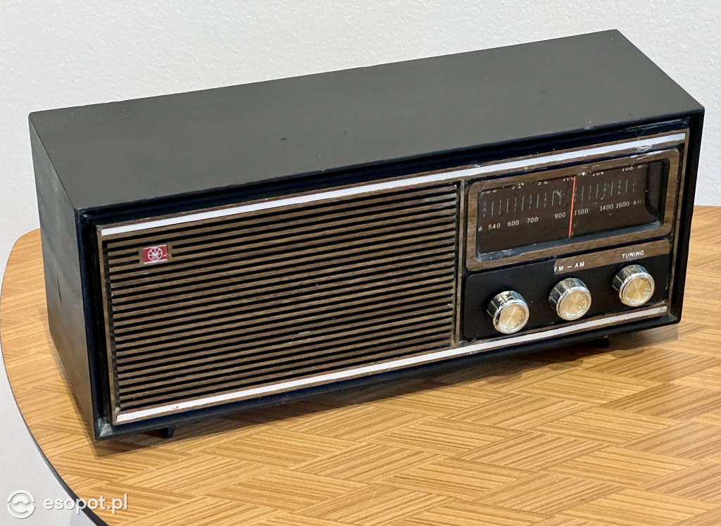 Popularne, radio tranzystorowe i termos! Tak się wypoczywało nad morzem [FOTO]