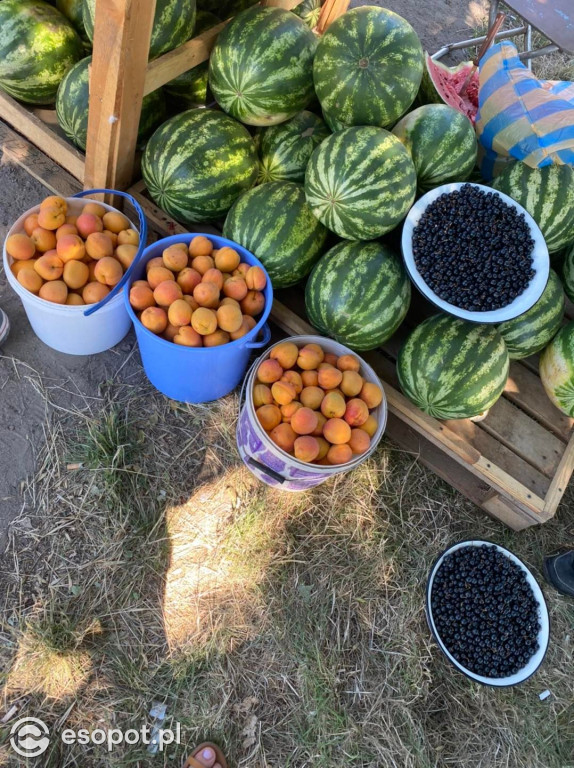 Wsparcie Zupy na Monciaku po raz kolejny dotarło do Ukrainy [FOTO]