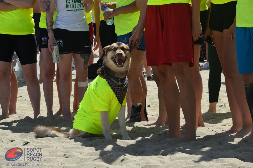 Co to były za emocje! Za nami Sopot Beach Rugby 2022 [FOTO]