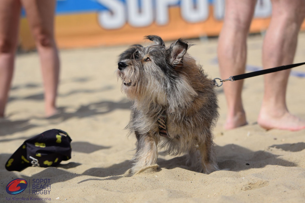 Co to były za emocje! Za nami Sopot Beach Rugby 2022 [FOTO]