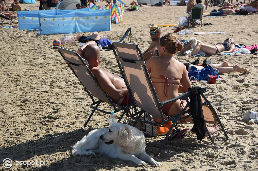 Morze ludzi przelało się przez Sopot! Za nami ostatni weekend wakacji [FOTO]