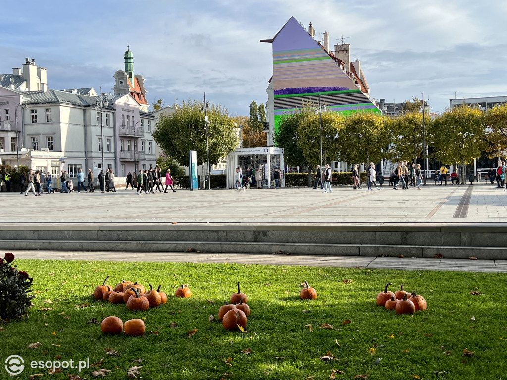 Zakochacie się w tych zdjęciach! Magiczny Sopot w kolorach jesieni [FOTO]