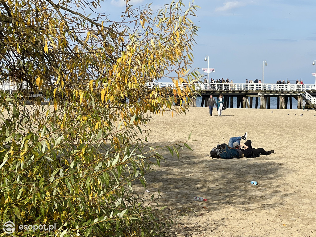 Zakochacie się w tych zdjęciach! Magiczny Sopot w kolorach jesieni [FOTO]
