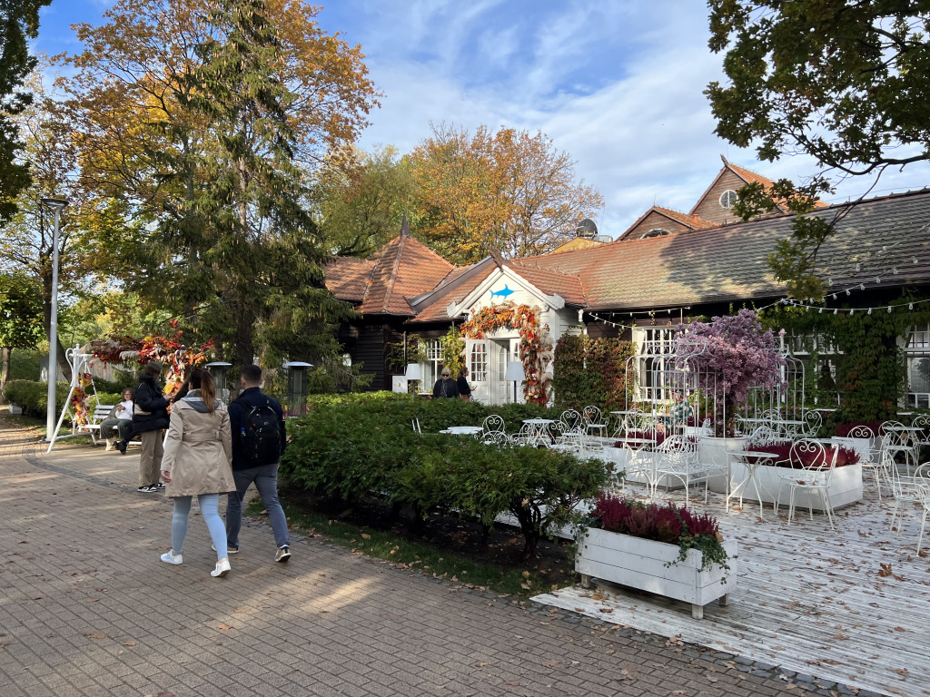 Zakochacie się w tych zdjęciach! Magiczny Sopot w kolorach jesieni [FOTO]