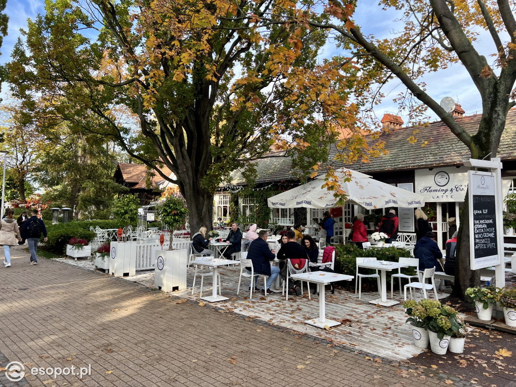 Zakochacie się w tych zdjęciach! Magiczny Sopot w kolorach jesieni [FOTO]
