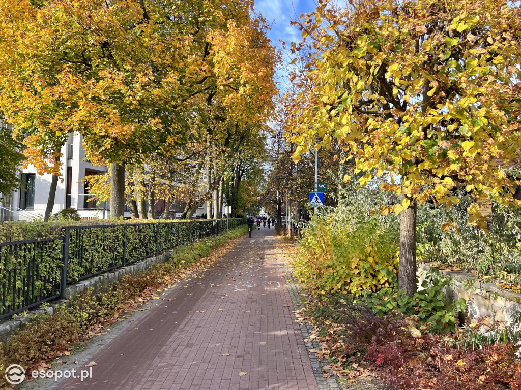 Zakochacie się w tych zdjęciach! Magiczny Sopot w kolorach jesieni [FOTO]
