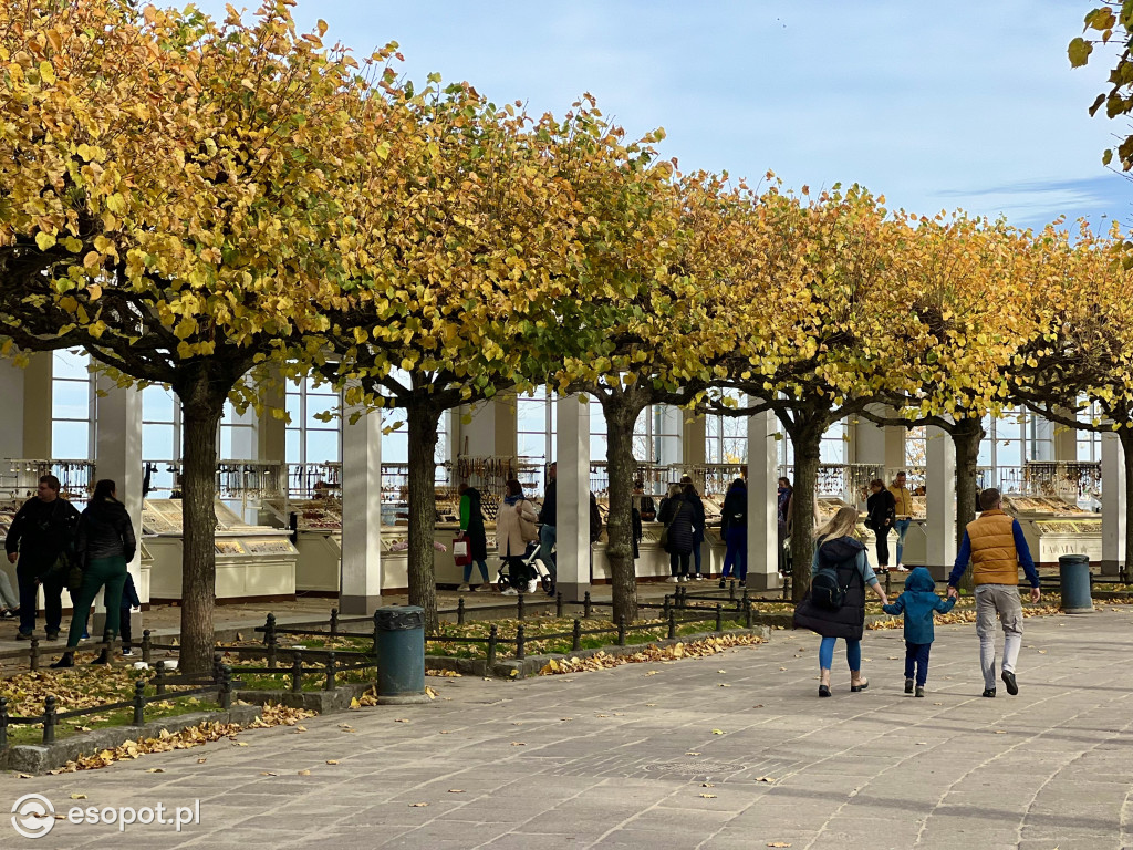 Sopot zachwyca na jesiennych zdjęciach! Kto przyjechał na pewno nie żałuje [FOTO]