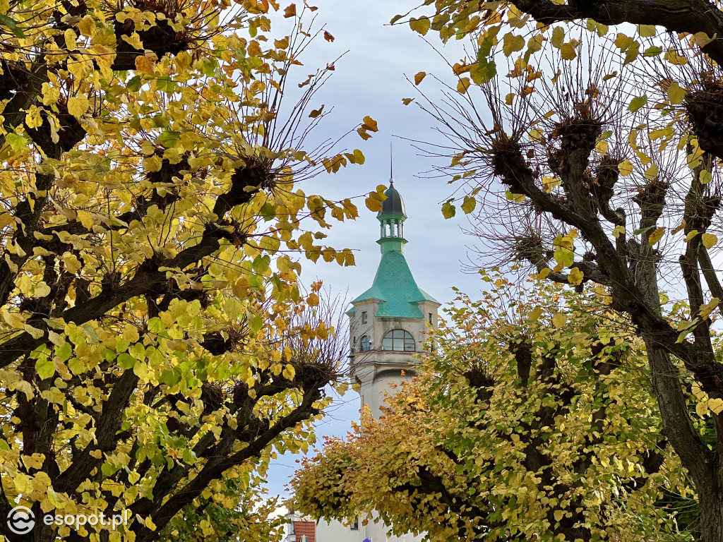 Sopot zachwyca na jesiennych zdjęciach! Kto przyjechał na pewno nie żałuje [FOTO]