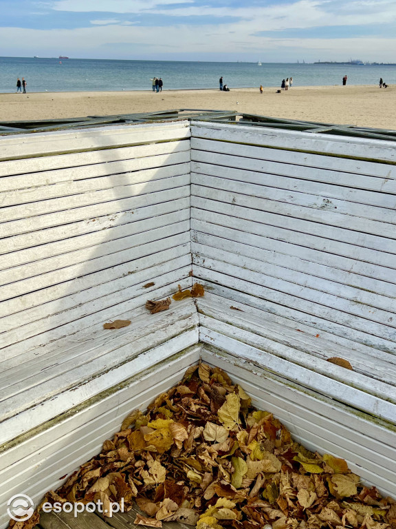 Sopot zachwyca na jesiennych zdjęciach! Kto przyjechał na pewno nie żałuje [FOTO]