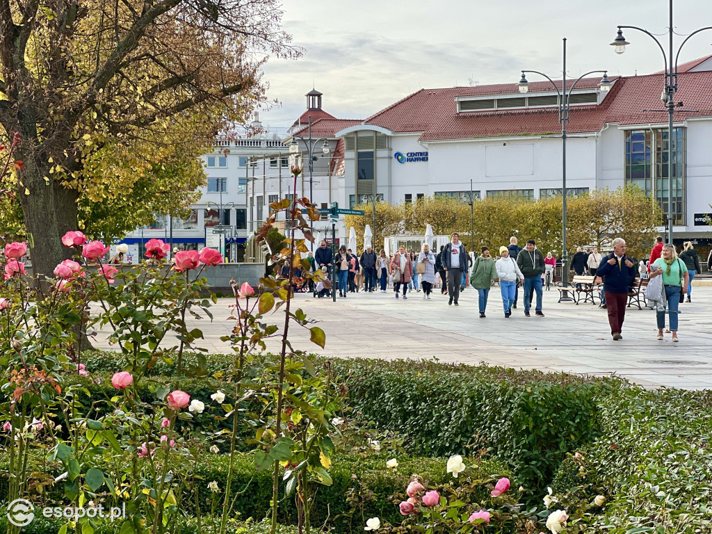 Sopot zachwyca na jesiennych zdjęciach! Kto przyjechał na pewno nie żałuje [FOTO]