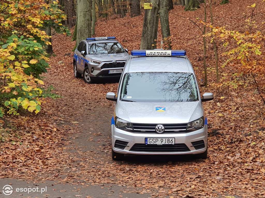 Sopot w czasie zadumy. Mieszkańcy tłumnie ruszyli na cmentarze [FOTO]