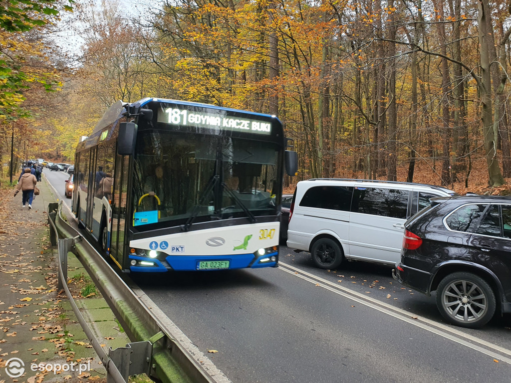 Sopot w czasie zadumy. Mieszkańcy tłumnie ruszyli na cmentarze [FOTO]