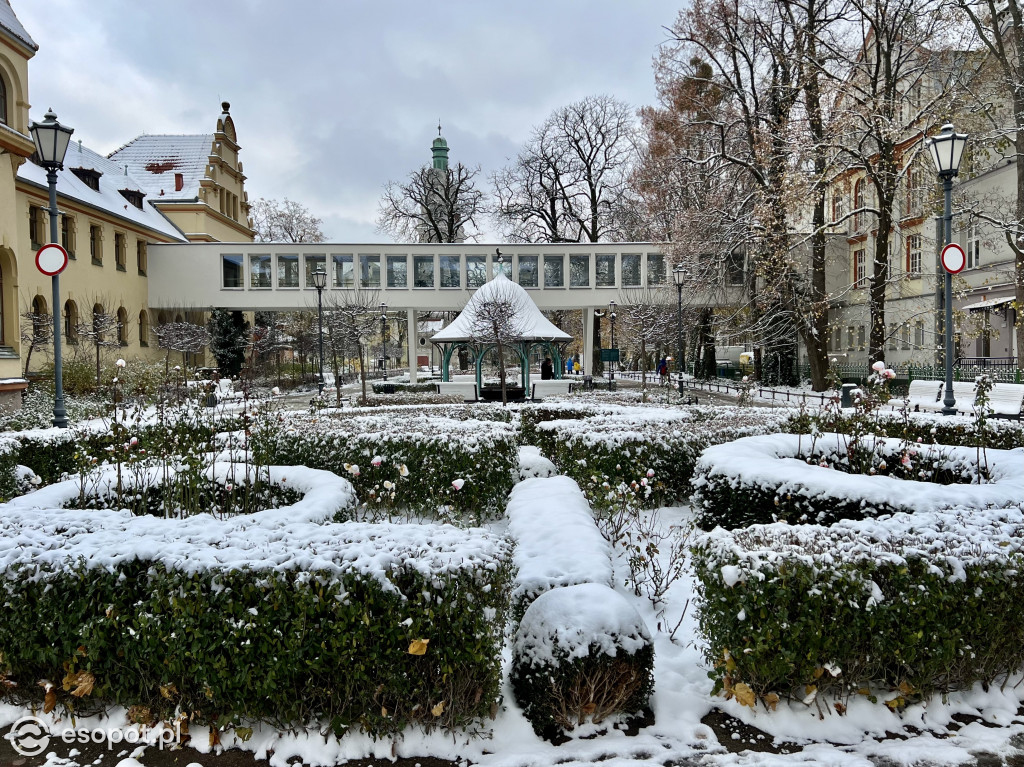 Piękny, zimowy Sopot na zdjęciach! Biała jesień w kurorcie [FOTO]
