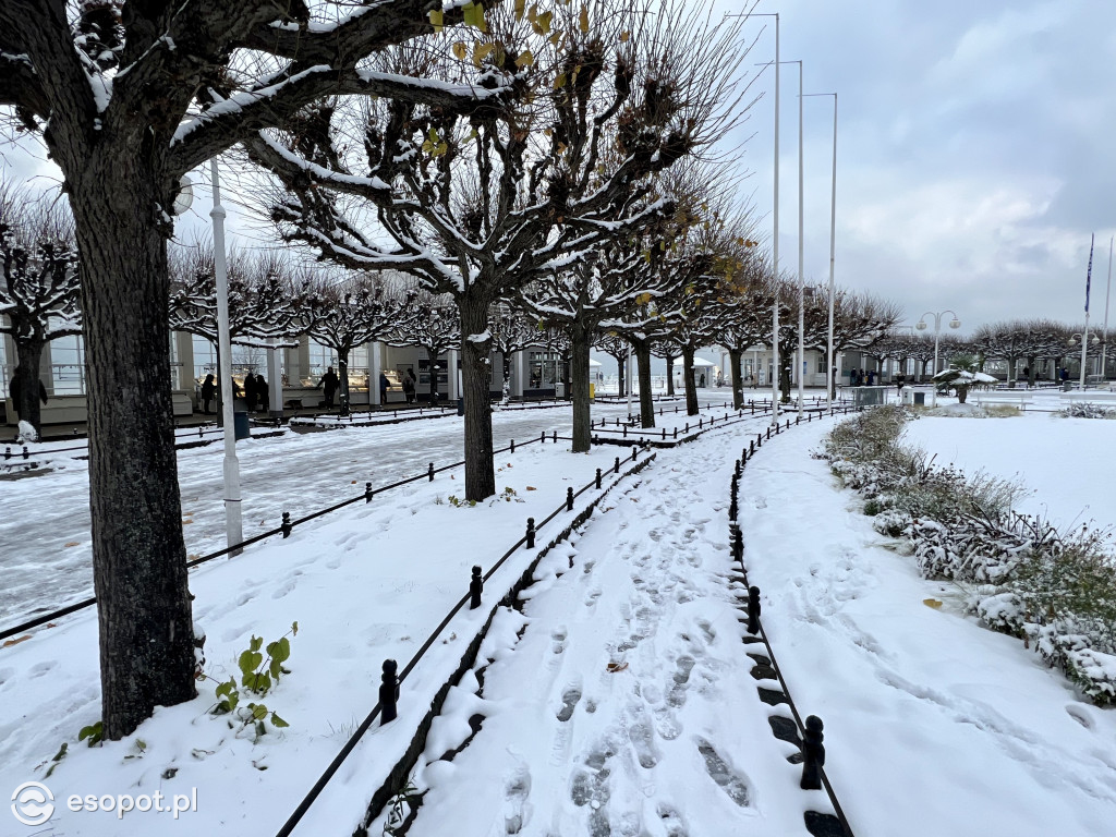 Piękny, zimowy Sopot na zdjęciach! Biała jesień w kurorcie [FOTO]