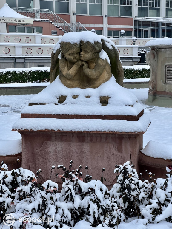 Piękny, zimowy Sopot na zdjęciach! Biała jesień w kurorcie [FOTO]