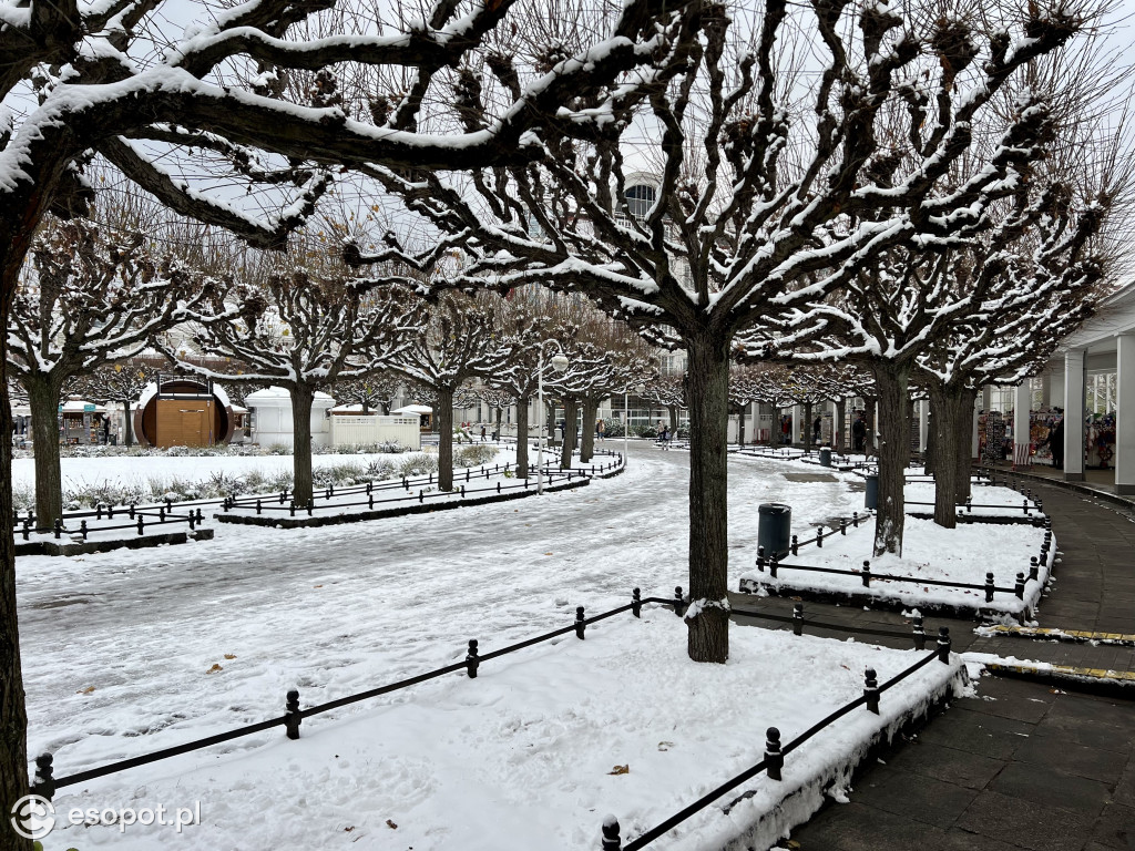 Piękny, zimowy Sopot na zdjęciach! Biała jesień w kurorcie [FOTO]