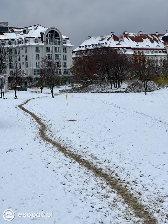 Piękny, zimowy Sopot na zdjęciach! Biała jesień w kurorcie [FOTO]