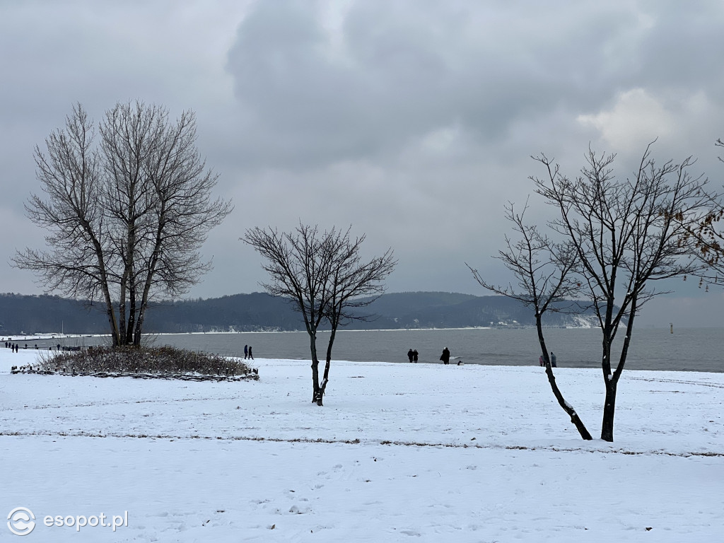 Piękny, zimowy Sopot na zdjęciach! Biała jesień w kurorcie [FOTO]