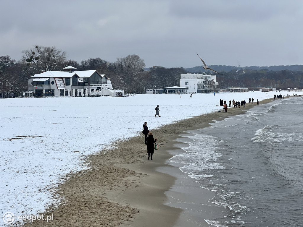 Piękny, zimowy Sopot na zdjęciach! Biała jesień w kurorcie [FOTO]