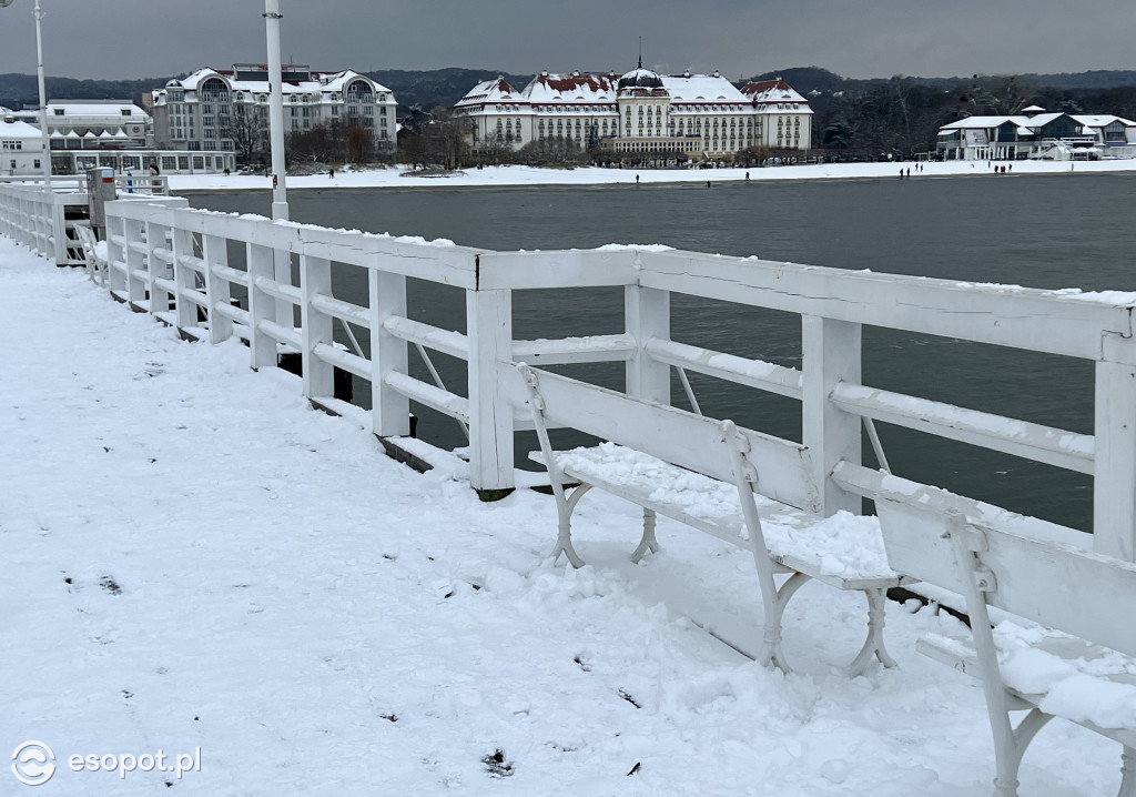 Piękny, zimowy Sopot na zdjęciach! Biała jesień w kurorcie [FOTO]