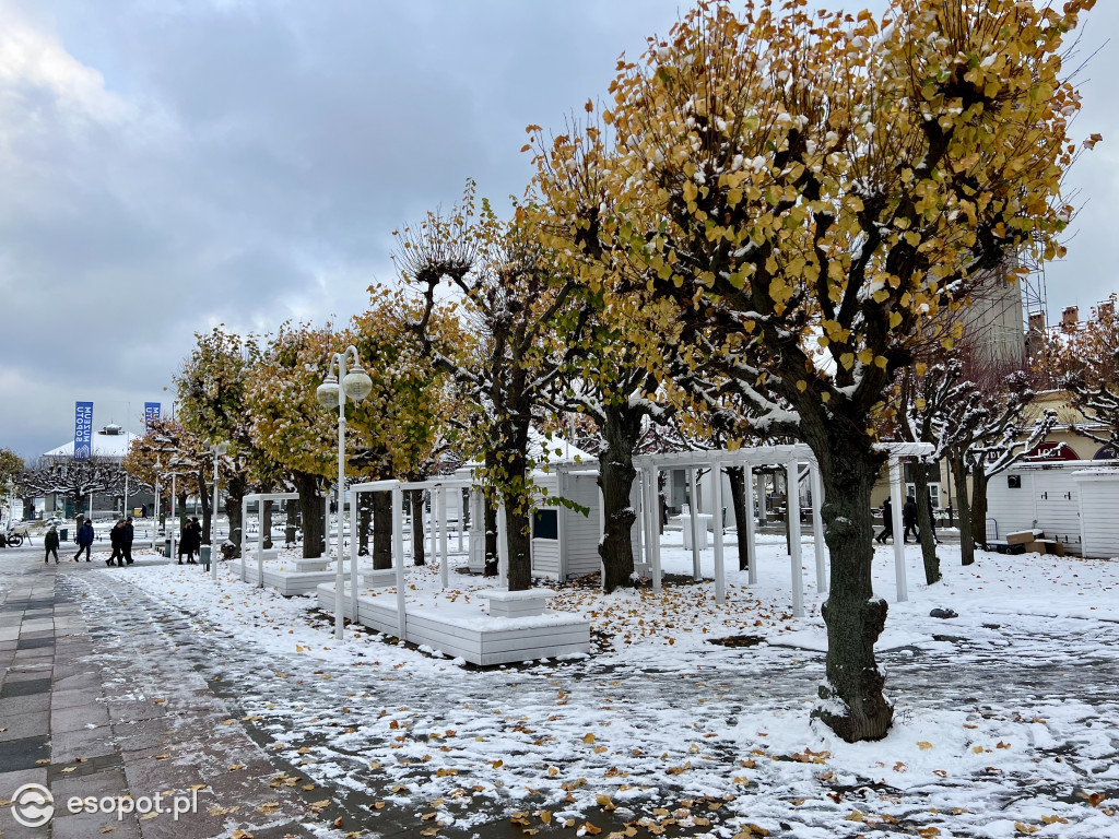 Piękny, zimowy Sopot na zdjęciach! Biała jesień w kurorcie [FOTO]