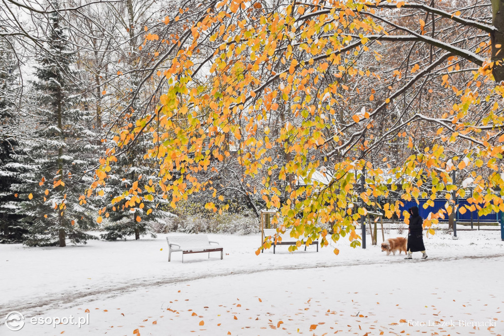 Sopot jak z bajki na wyjątkowych zdjęciach! Za nami kolejny listopadowy weekend [FOTO]