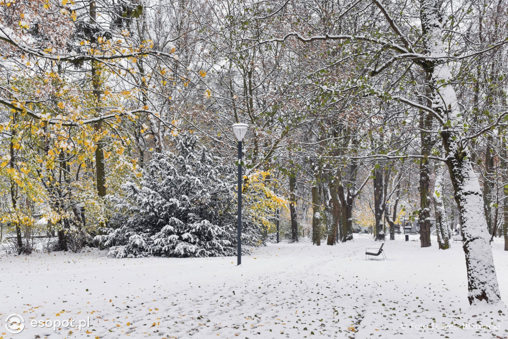 Sopot jak z bajki na wyjątkowych zdjęciach! Za nami kolejny listopadowy weekend [FOTO]