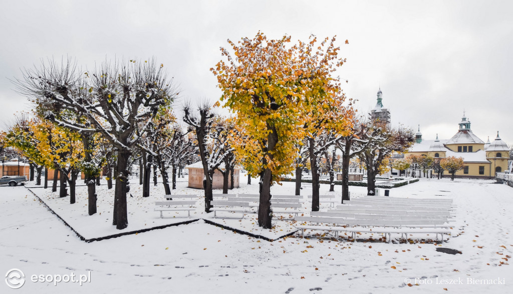 Sopot jak z bajki na wyjątkowych zdjęciach! Za nami kolejny listopadowy weekend [FOTO]