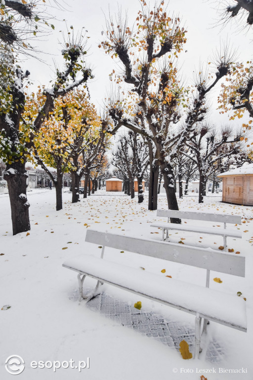 Sopot jak z bajki na wyjątkowych zdjęciach! Za nami kolejny listopadowy weekend [FOTO]