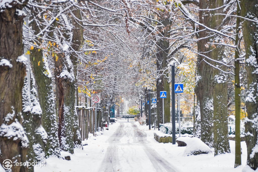 Sopot jak z bajki na wyjątkowych zdjęciach! Za nami kolejny listopadowy weekend [FOTO]